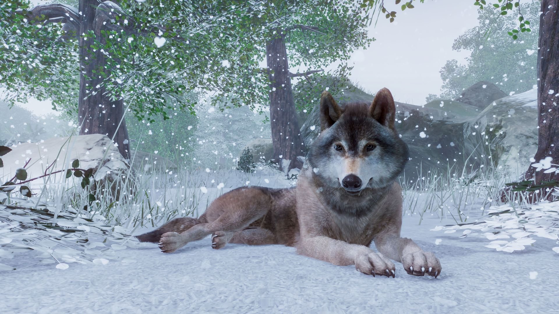 Planet Zoo - Imagen 28
